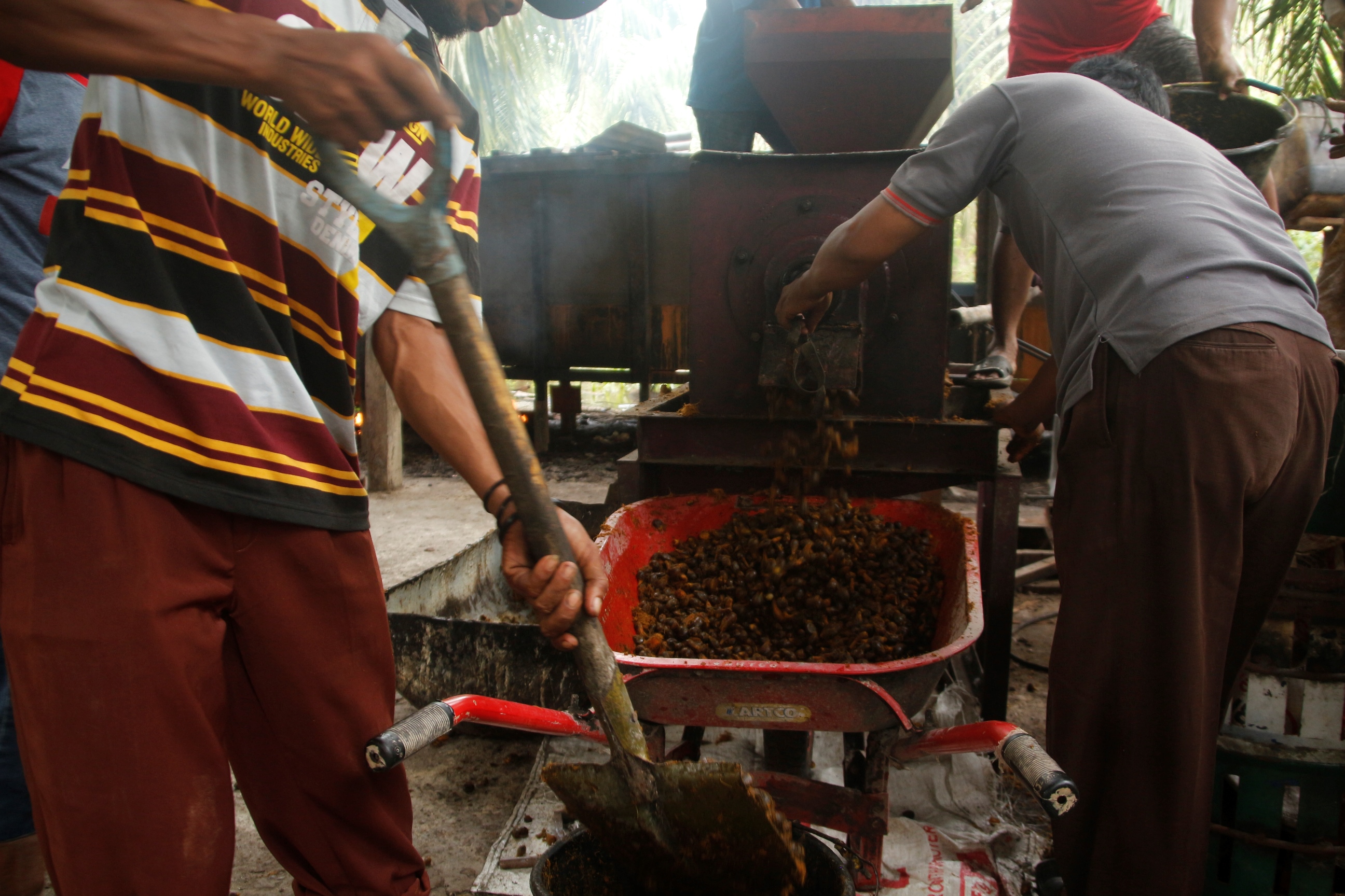 Minyak Sawit Olahan Petani (2)