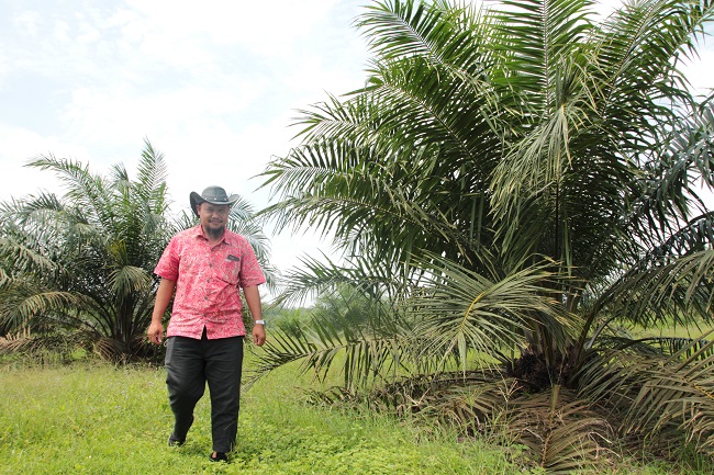 Para Petani Tangguh Dari Sungai Lilin