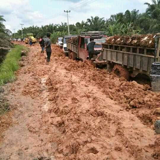 Sertifikasi ISPO, Petani Melongo