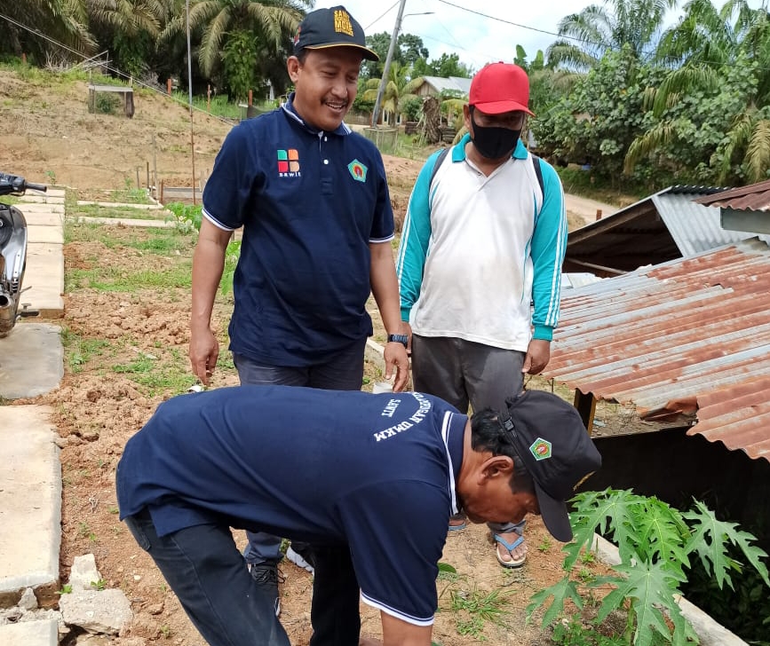 Bakal Tetap Berduit Walau Sawit Masih Cilik