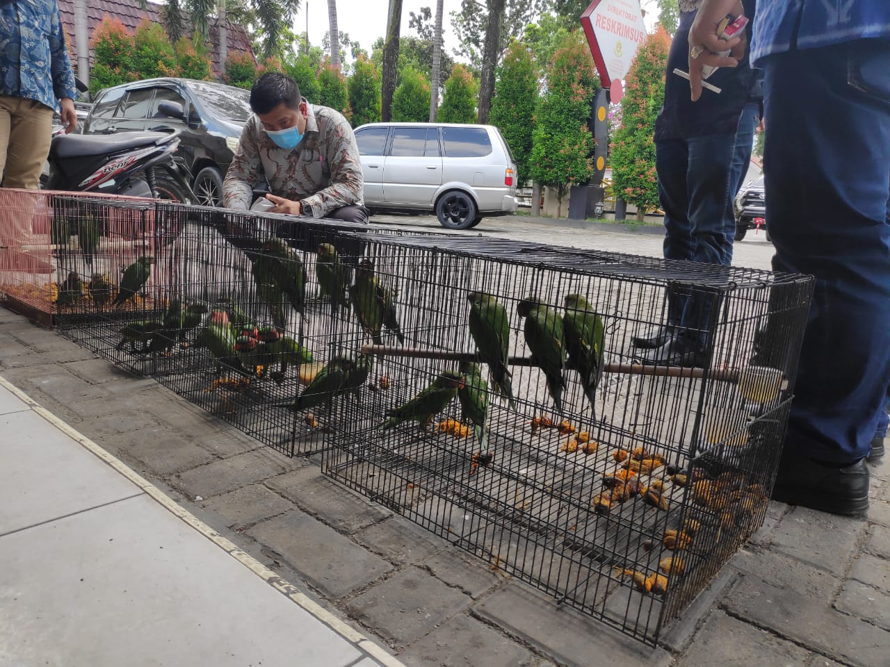 Jual Burung Dilindungi, Seorang ASN Pemprov Riau Ditangkap Polisi