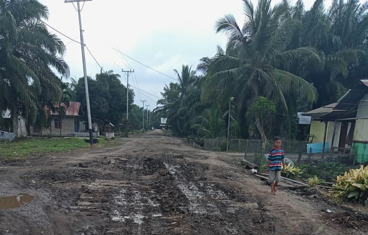 5000 Ha Kebun Sawit Leidong Kesandung HP