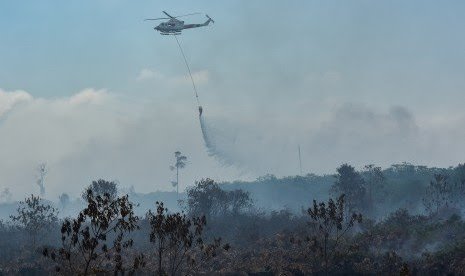 BPBD Riau Ajukan Tiga Helikopter Penanganan Karhutla