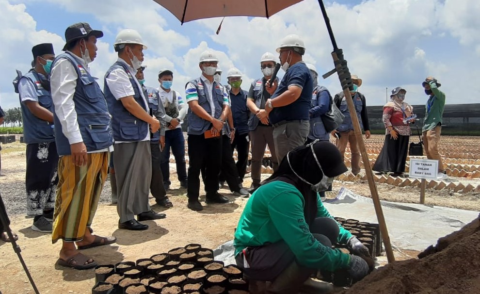 Cerita Santripreneur di Pembibitan Sinarmas