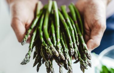 Begini Cara Menanam Asparagus di Rumah