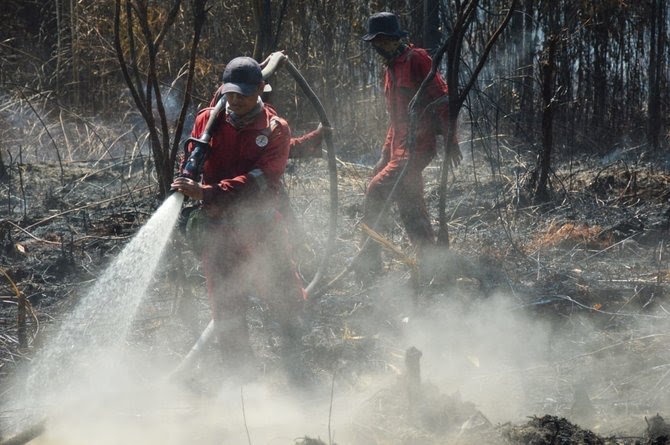 Delapan Petani Jadi Tersangka Karhutla di Riau