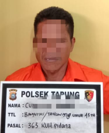 Curi Buah Sawit Milik Biarawati, 1 Warga Kampar Ditangkap dan 2 Kabur