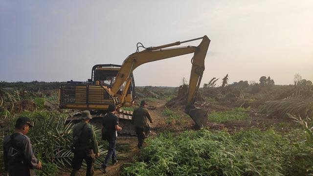 Kebun Sawit Terlanjur Ditebangi, Ternyata MA Putuskan Eksekusi di Riau Tidak Sah