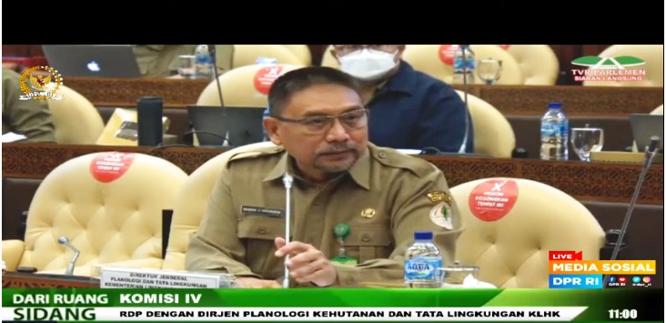 Ini 4 Besar Provinsi Sawit Dalam Klaim Kawasan Hutan, Riau Nomor 1