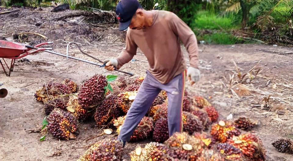 Pesta Pora di Bulan Maret