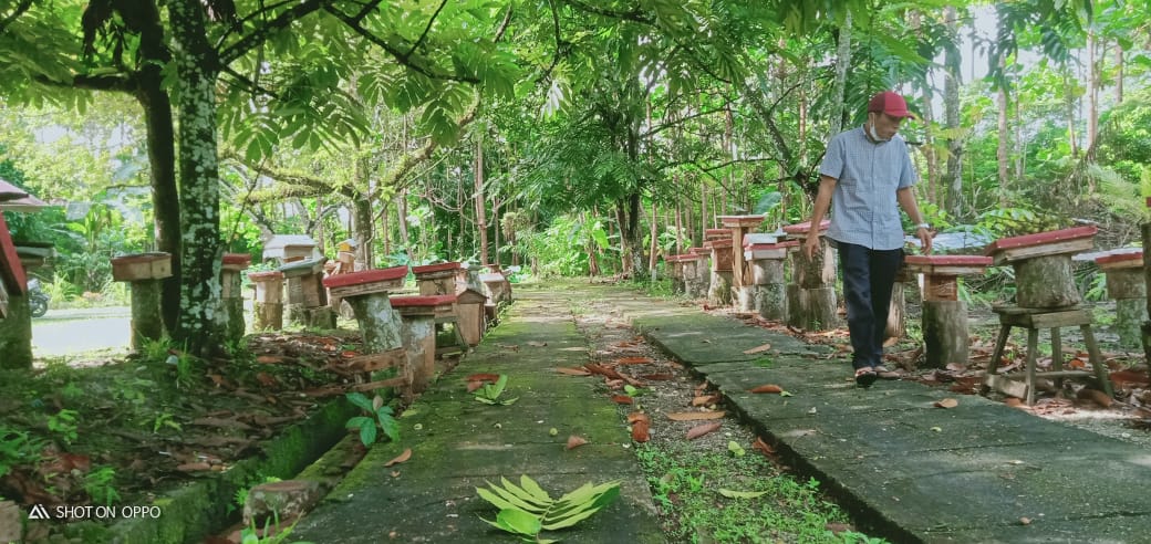 Pandemi Covid-19, Penjual Madu di Riau Justru Untung