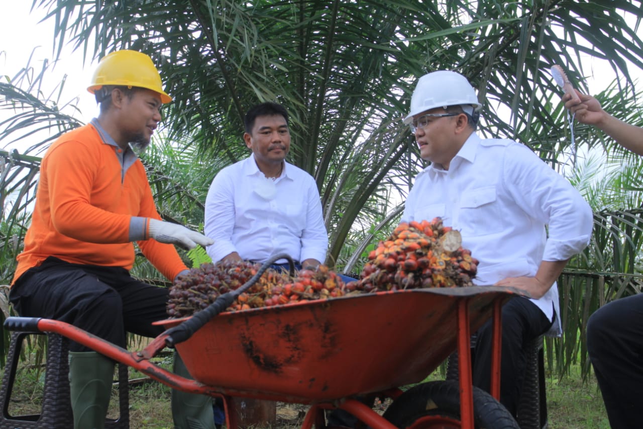 BPDPKS Abadikan Keberhasilan Joko Widodo-Dodi Reza soal Kelapa Sawit Rakyat