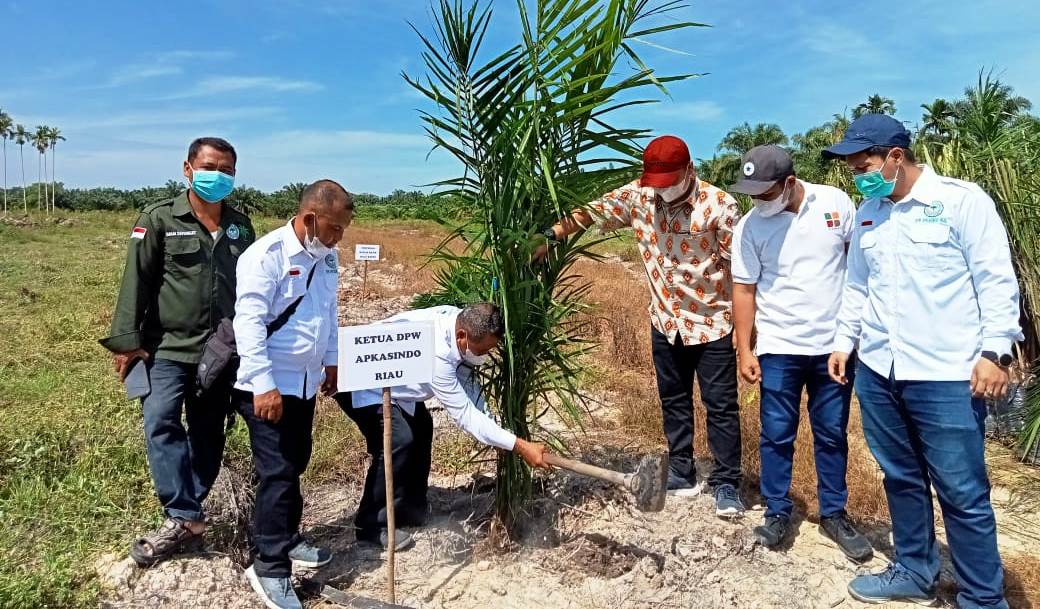 Apkasindo Dumai: Kami Optimis PSR 1000 Hektar