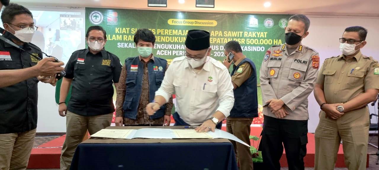 Dampak Sawit Petani Aceh Belum 