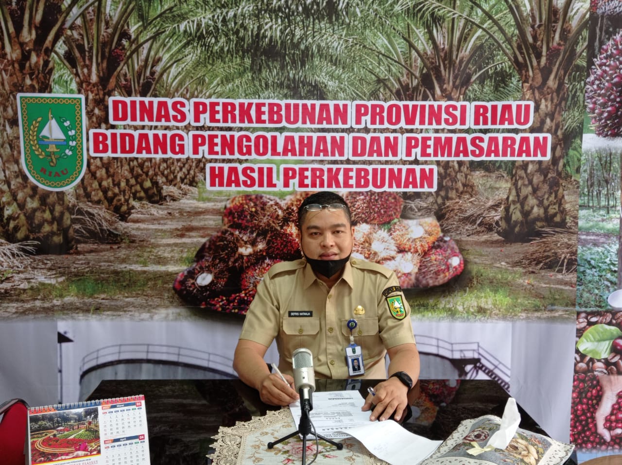 Harga Sawit di Riau Naik Sedikit Jadi Rp 2.084 Perkilogram