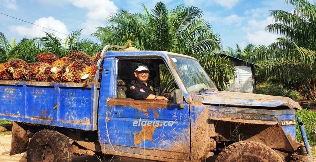 Ketum DPP Apkasindo: Urusan Beasiswa Sawit Jangan Banyak Cengkunek lah!