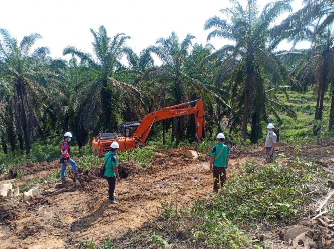 Puluhan Perusahaan Sawit Dilibatkan Dalam PSR