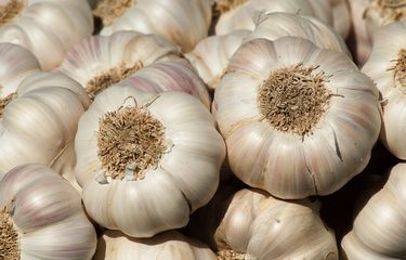 Benarkah Bawang Putih Bisa Menurunkan Darah Tinggi?