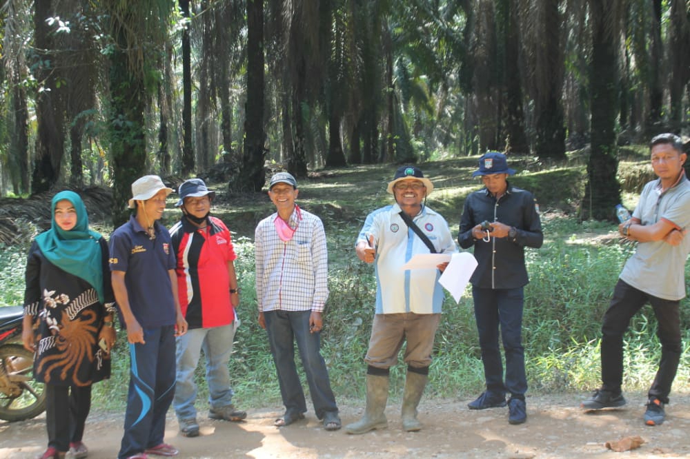 Ram dan PKS Bersaing, Petani Sawit yang Menang