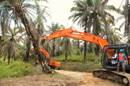 Pelaksanaan PSR Terhambat Keterangan Status Lahan