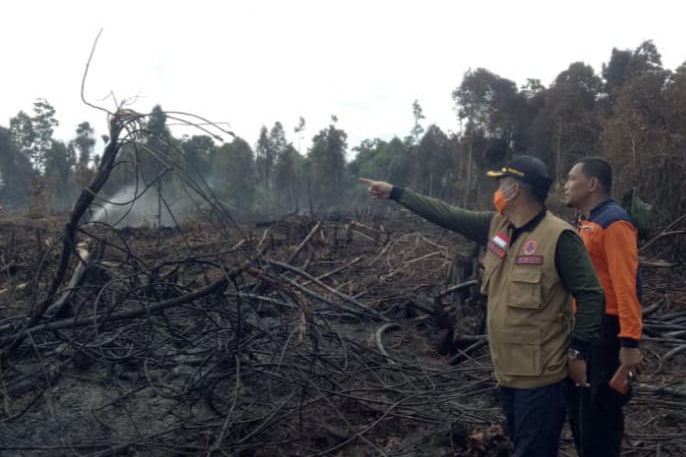 BPBD Riau Sebut Karhutla Masih Dominan Terjadi di Rohul