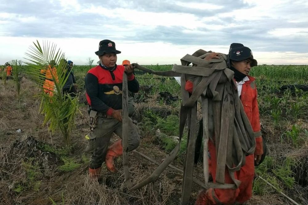 Karhutla di Rohul Terluas se-Riau, Capai 170 Hektare Terbakar