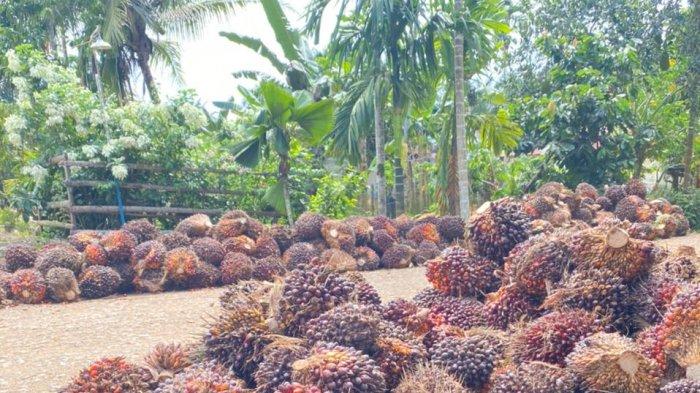 SAMADE Harus Jadi Pelopor Mewujudkan Kemandirian Petani