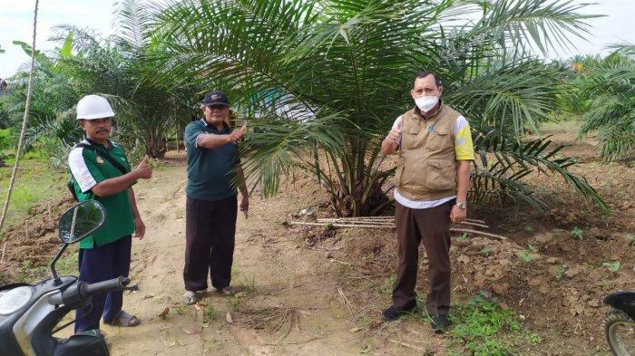 Petani Mulai Rasakan Manfaat Program PSR