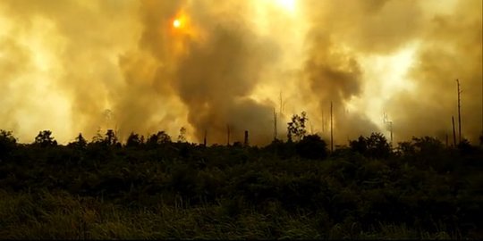 BMKG Catat 23 Titik Panas Terdapat di Riau