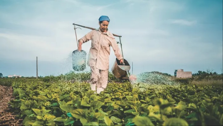 Nilai Tukar Petani Riau Alami Penurunan Terbesar