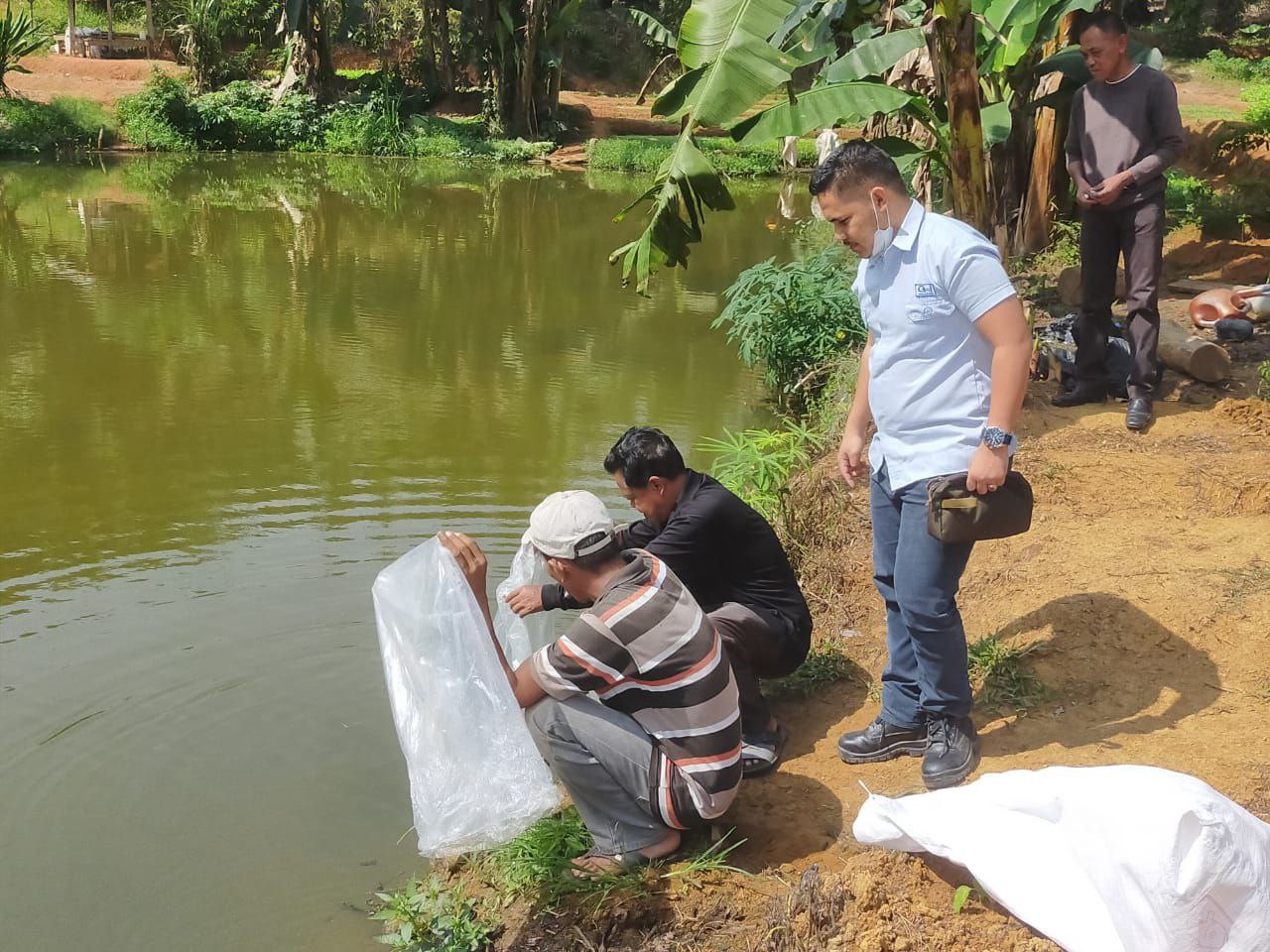 Samsuar Terima Bantuan Benih Ikan dari PT Gandaerah