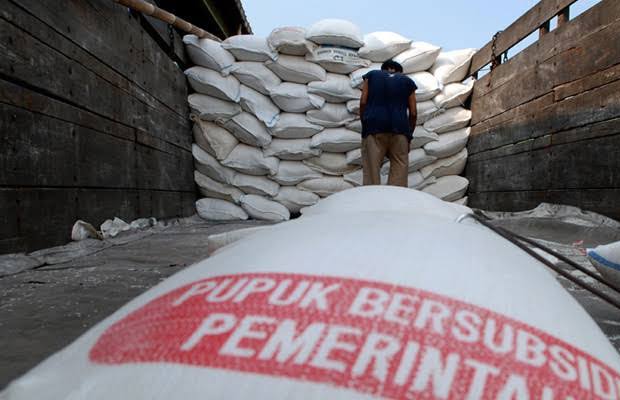 Derita Petani di Masa Pandemi, Harga Pupuk Subsidi Naik Segini