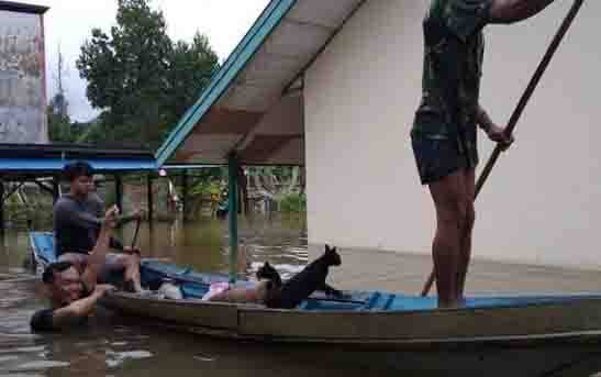 Illog dan Pembukaan Kebun Sawit Dituding Penyebab Banjir