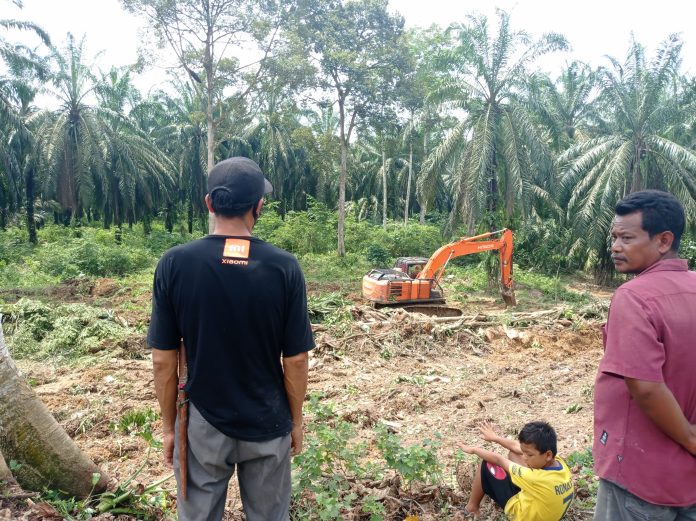 Lokasi Peremajaan Sawit Dua Poktan Segera Dicek