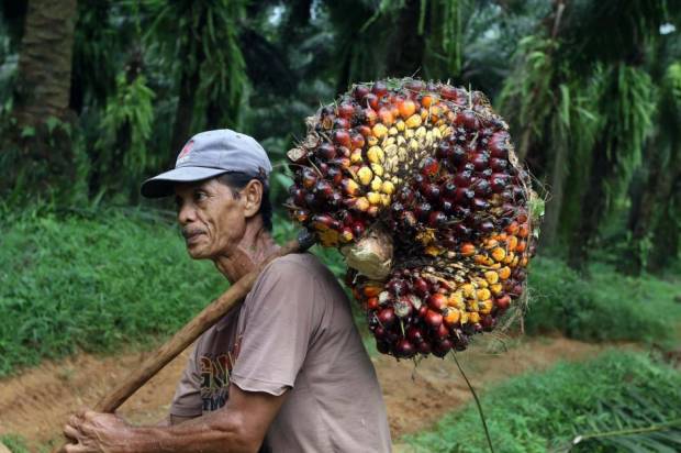 SAMADE Desak Petani Sawit Diwajibkan Berorganisasi