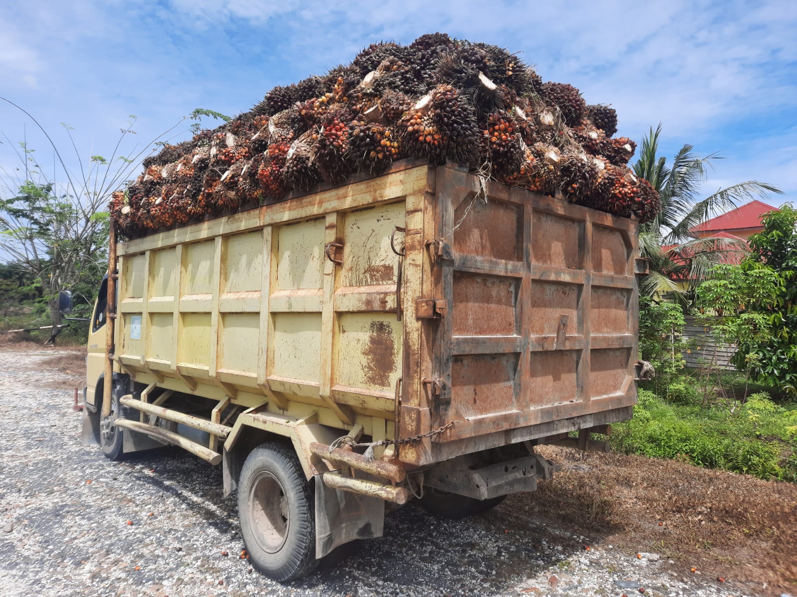 Petani di Kampar Tangkap Truk Bawa Sawit, Diserahkan ke Polsek