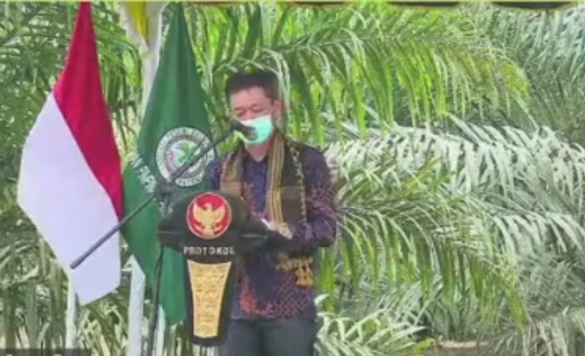 Bupati Rohil: Moyang Kami Dulu Punya Hutan Ini!