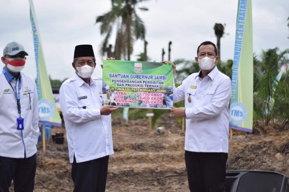 112 Ribu Hektar Kebun Sawit Perlu Diremajakan