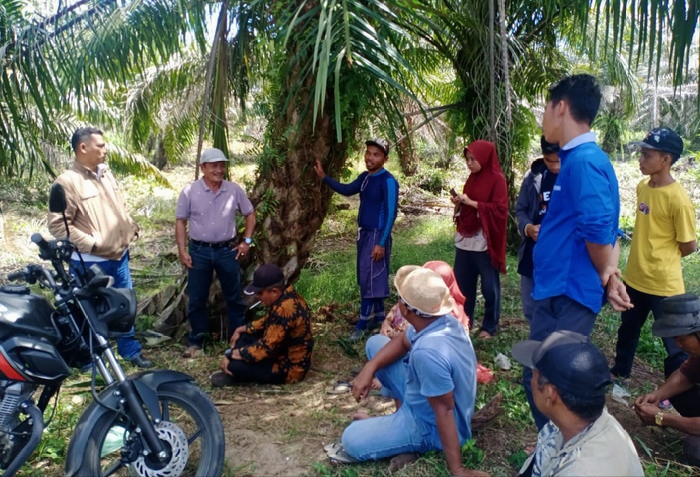 Masalah Ganti Rugi Berbelit, Warga Duduki Kebun Sawit