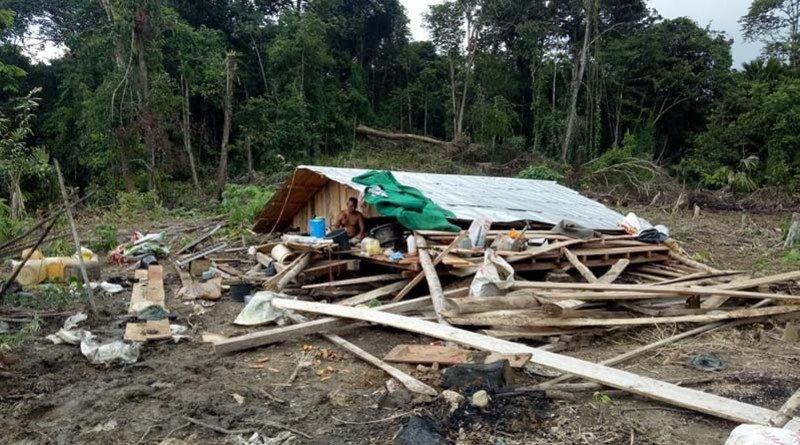 Rumah Petani Dihancurkan Kawanan Gajah