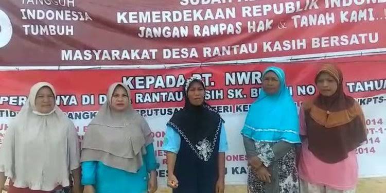 Konflik Kebun Sawit Warga vs PT NWR Belum Dibereskan Pemprov Riau