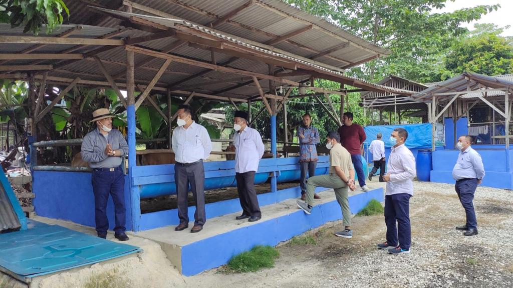 Ketika Kotoran Sapi Jadi Duit di Kampar