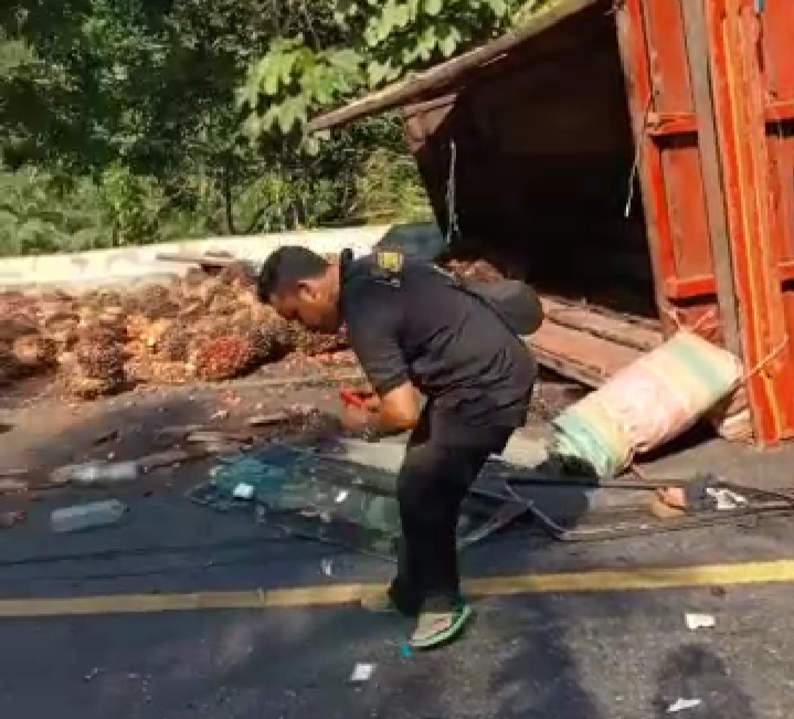 Truk Terguling, Buah Sawit Petani Tumpah di Jalan