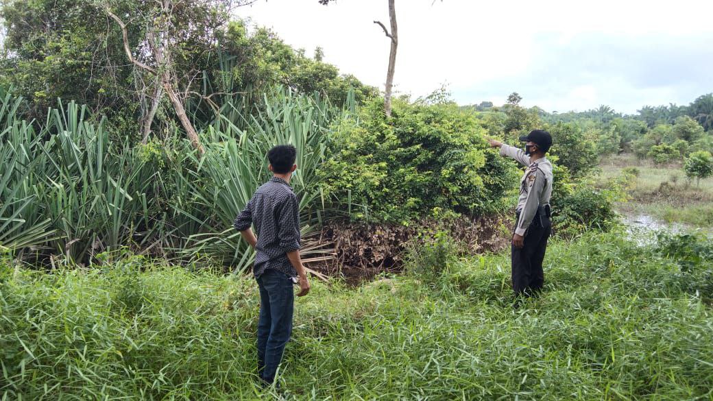 Petani Sawit Diminta Tak Bakar Lahan