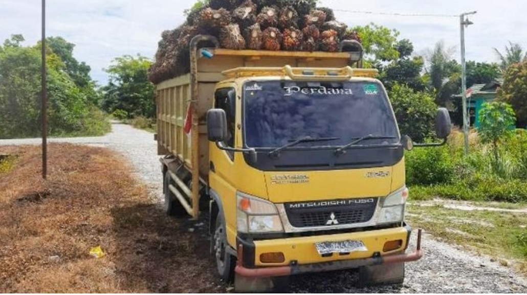 Soal Curi Sawit, Polres Kampar Bantah Tudingan Kriminalisasi