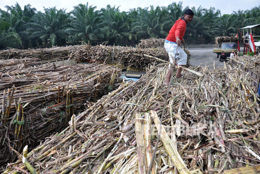 Tiga Sentra Pertanian dan Perkebunan Jadi Sumber Data BPS