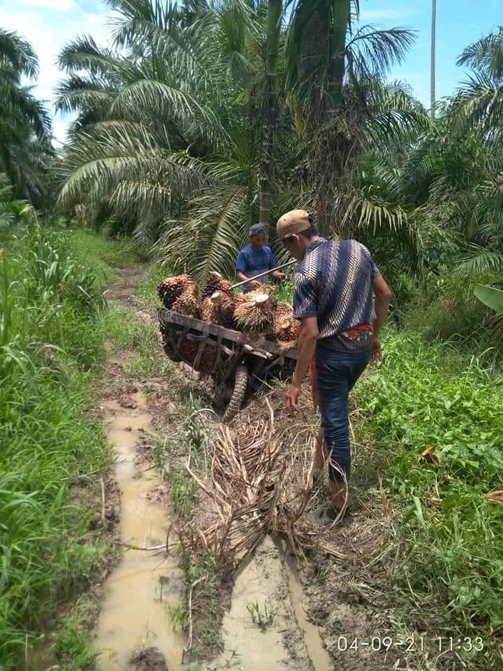 Jalan Kebun Jelek, Pemerintah Siapkan Program Sarpras Sebagai Solusi