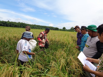 Puluhan Ribu Petani Bakal Dilibatkan pada SITASI