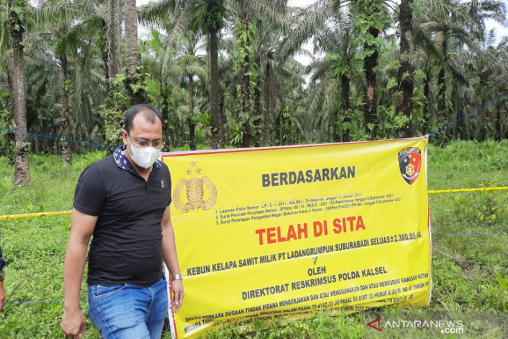 Seratusan Perusahaan Sawit dan Tambang Beroperasi di Kawasan Hutan