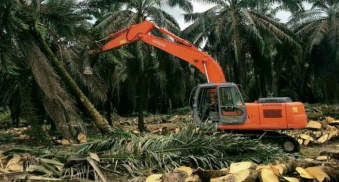 Syarat PSR Terpenuhi, Tiga Poktan Tunggu Rekomtek